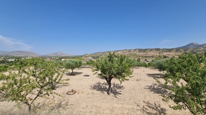 Image No.2-Land for sale