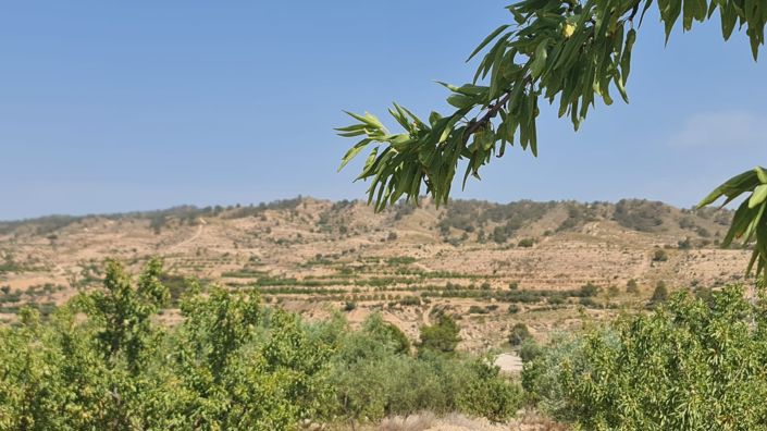 Image No.3-Land for sale