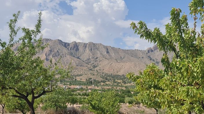 Image No.5-Land for sale