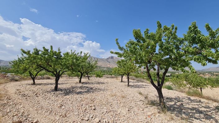 Image No.6-Land for sale