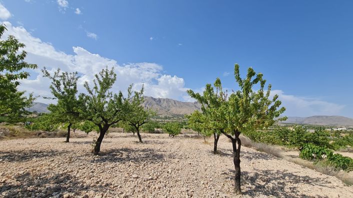 Image No.7-Land for sale