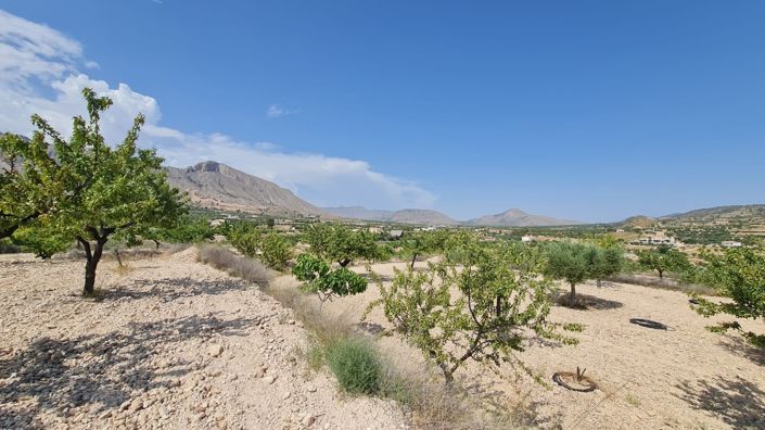 Image No.9-Land for sale