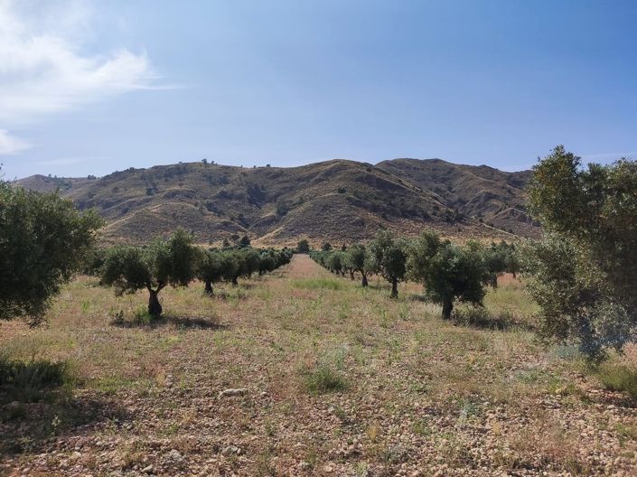 Image No.21-10 Bed Country House for sale