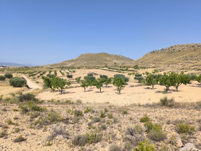 Image No.1-Land for sale