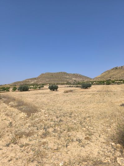Image No.1-Land for sale