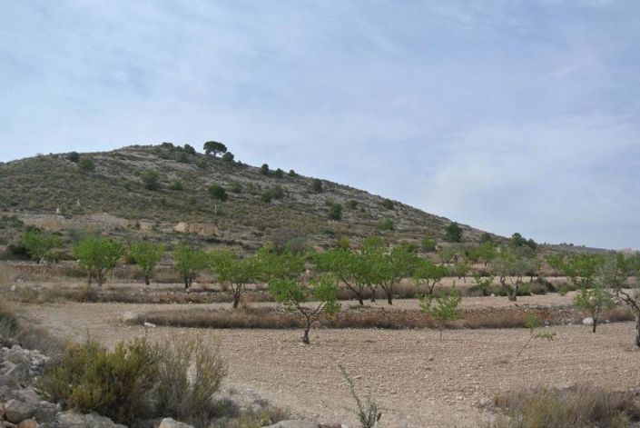 Image No.1-Land for sale
