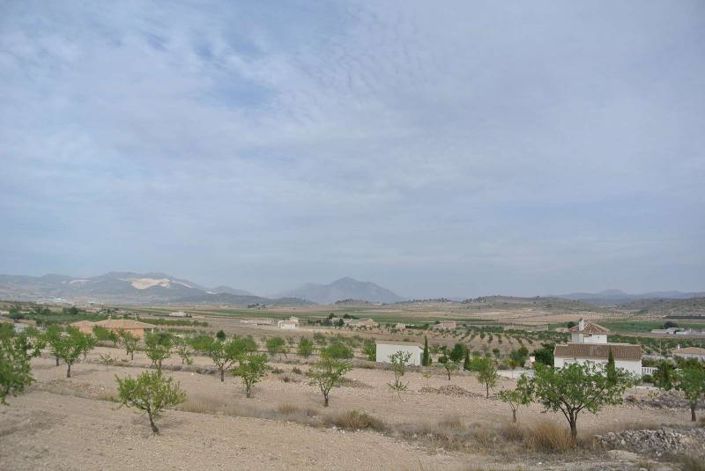 Image No.13-Terre à vendre à Jumilla