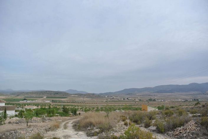Image No.14-Terre à vendre à Jumilla