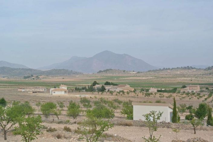 Image No.15-Terre à vendre à Jumilla