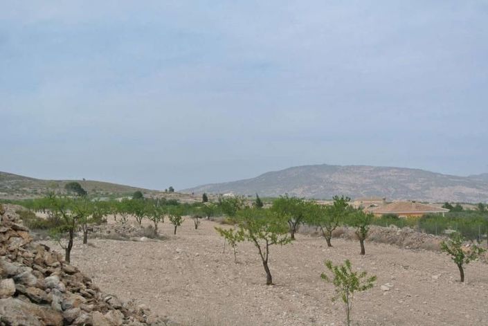 Image No.4-Land for sale