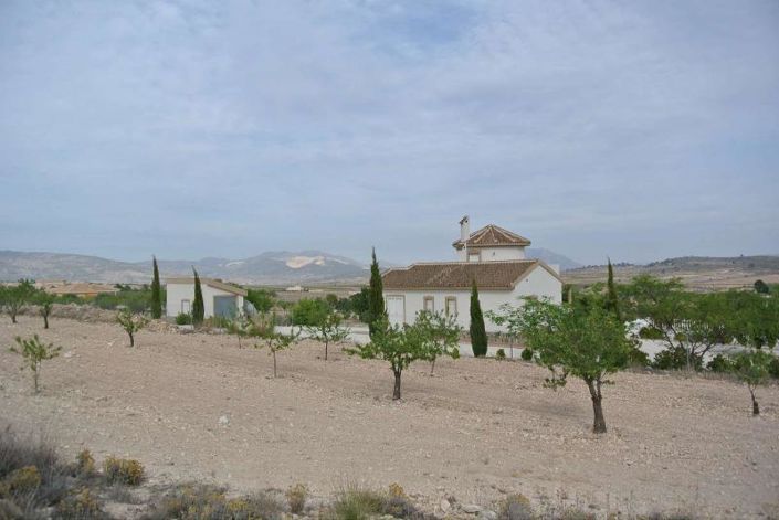 Image No.5-Terre à vendre à Jumilla