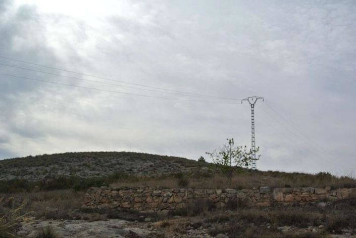 Image No.8-Terre à vendre à Jumilla