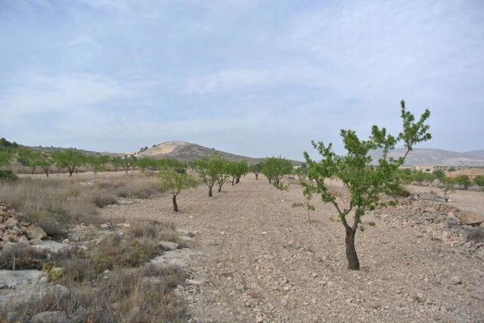 Image No.9-Land for sale