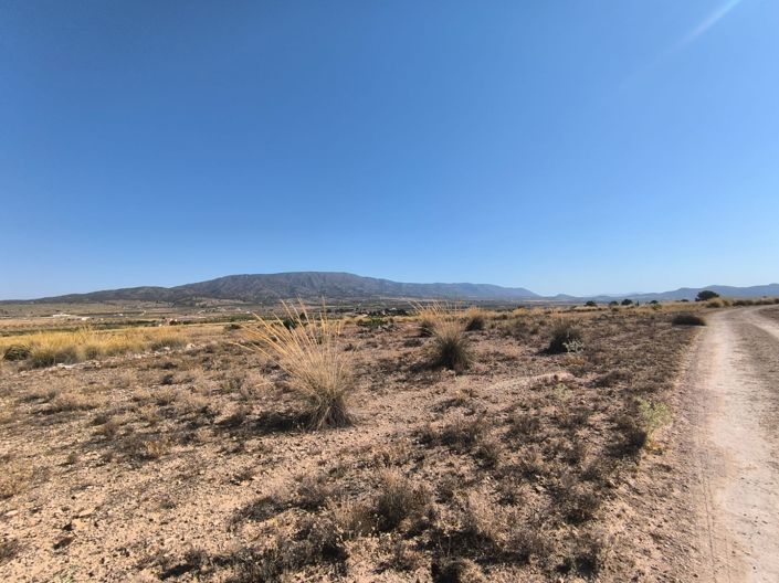 Image No.3-Land for sale