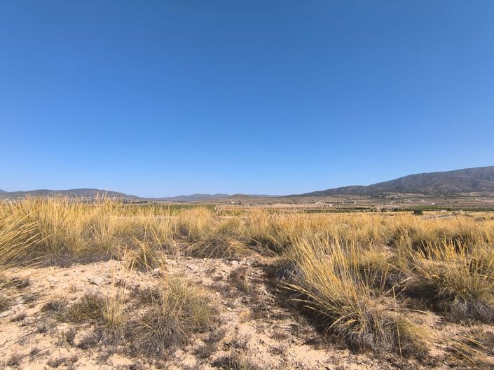 Image No.5-Land for sale