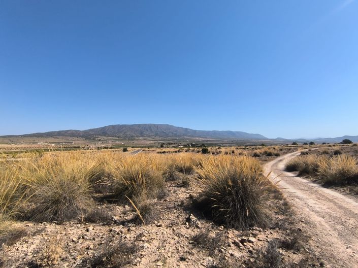 Image No.7-Land for sale