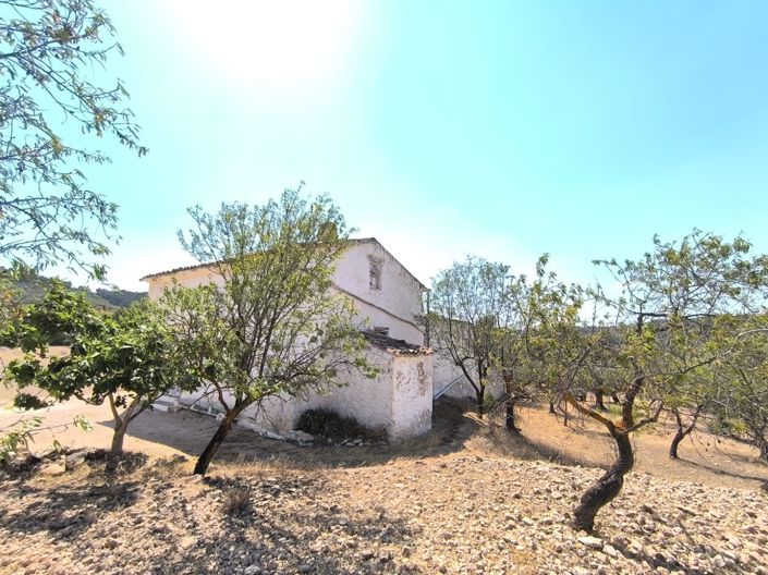 Image No.3-Maison de campagne de 4 chambres à vendre à Villena