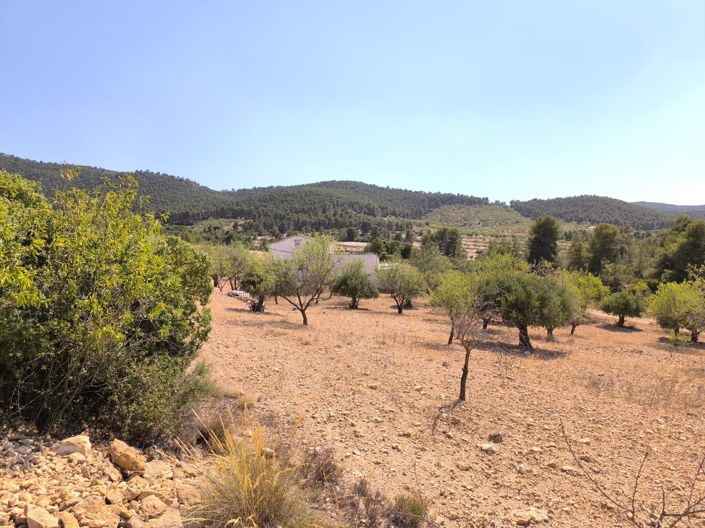 Image No.5-Maison de campagne de 4 chambres à vendre à Villena