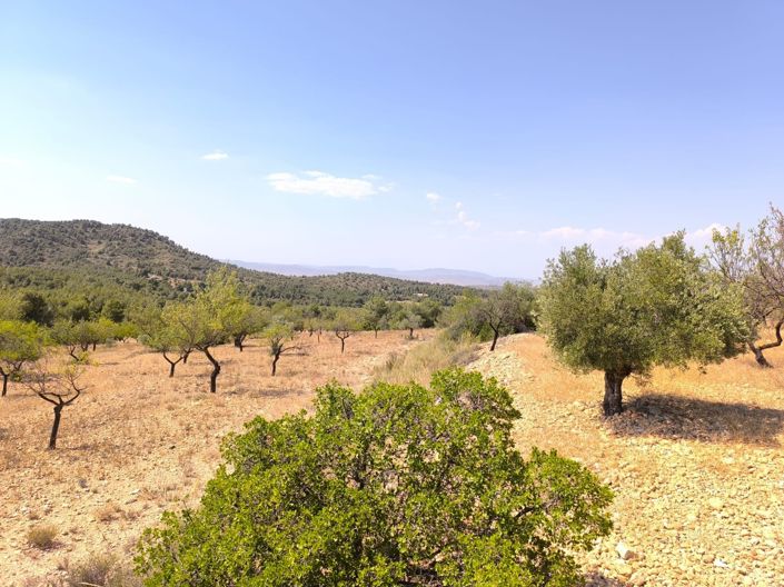 Image No.6-4 Bed Country House for sale