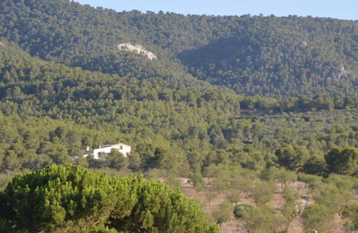 Image No.7-Maison de campagne de 4 chambres à vendre à Villena