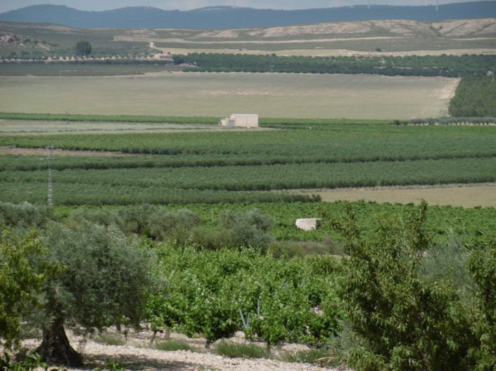 Image No.34-6 Bed Villa for sale