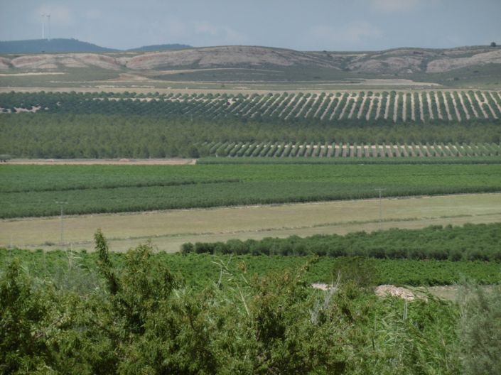 Image No.4-6 Bed Villa for sale