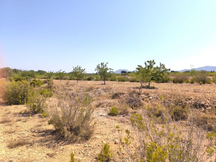 Image No.13-6 Bed Country House for sale