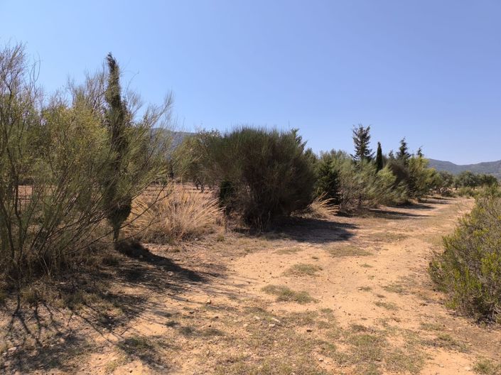 Image No.14-6 Bed Country House for sale