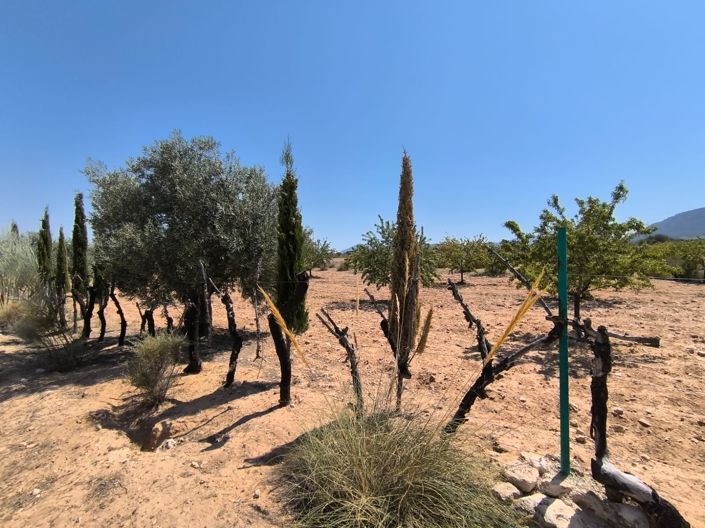 Image No.17-6 Bed Country House for sale