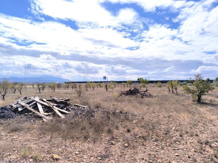 Image No.13-Maison de campagne de 3 chambres à vendre à Yecla