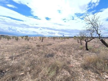 o1j6lcp7t1to116ctacaqpk18c122