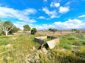 o1j6lcp7t114ie1qbf8a118ul114223