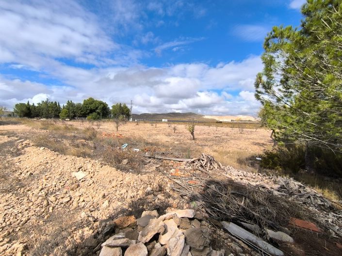 Image No.6-Maison de campagne de 3 chambres à vendre à Yecla