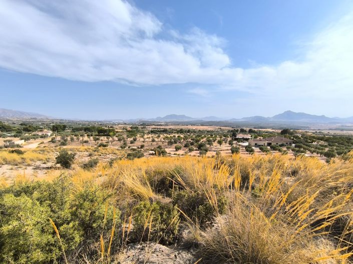 Image No.1-Land for sale