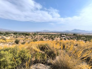 Stratus International most sold property