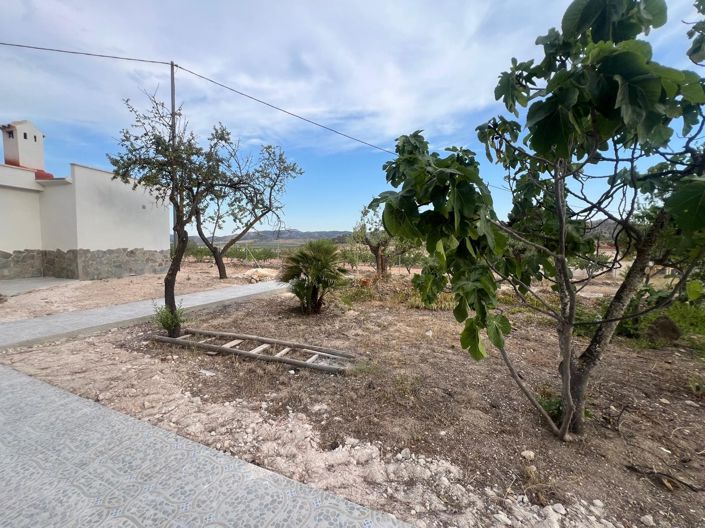 Image No.10-4 Bed Villa for sale