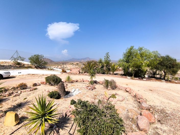 Image No.34-Villa de 8 chambres à vendre à Novelda