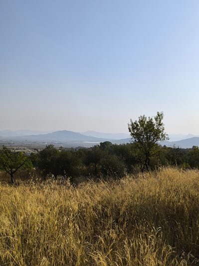 Image No.24-Property for sale