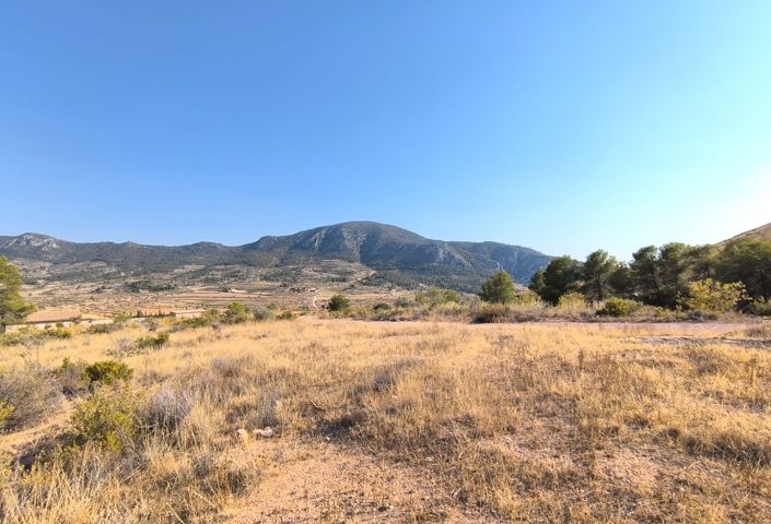 Image No.1-Land for sale