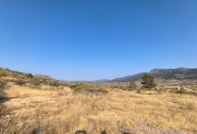 Stratus International most sold property