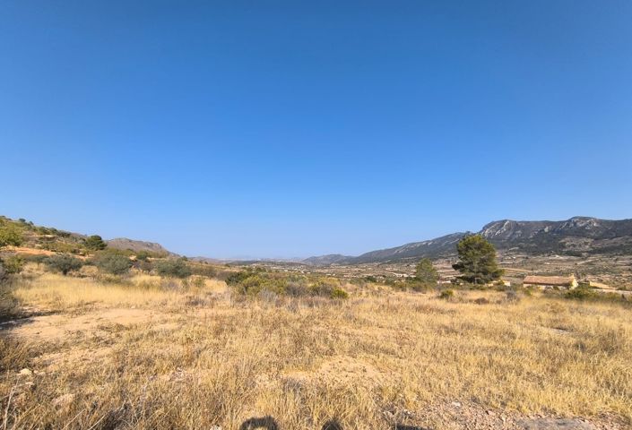 Image No.2-Terre à vendre à Algueña