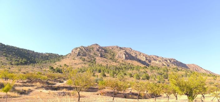 Image No.3-Terre à vendre à Algueña