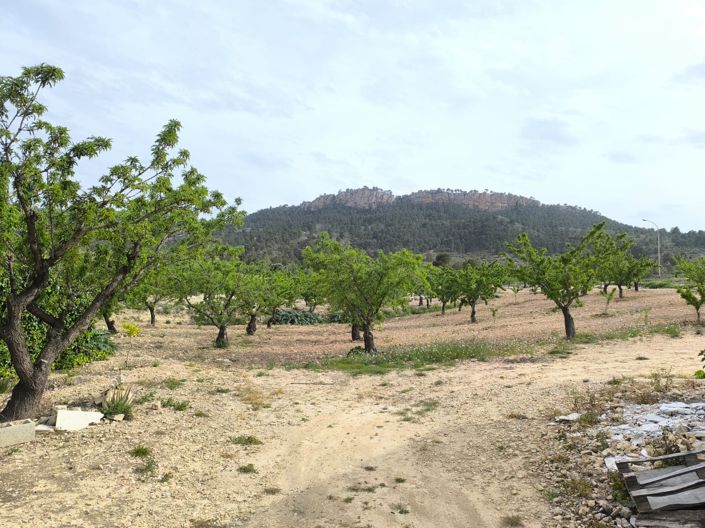 Image No.2-7 Bed Country House for sale