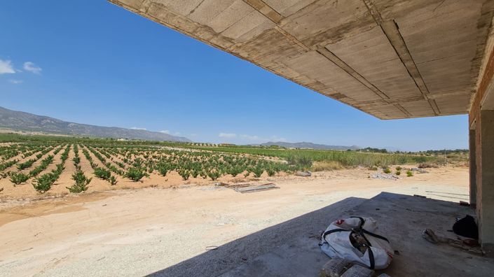 Image No.31-Villa de 3 chambres à vendre à Pinoso