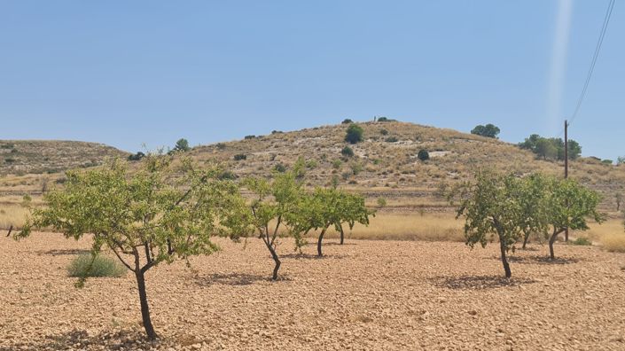 Image No.1-Terre à vendre à Alicante