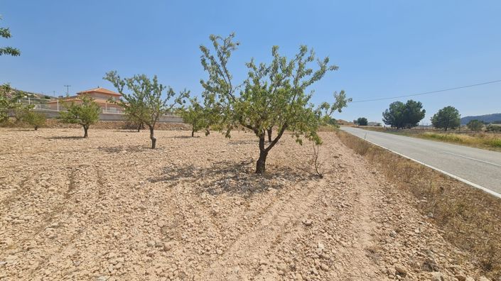 Image No.1-Terre à vendre à Jumilla