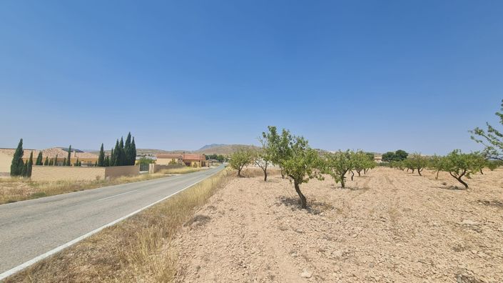 Image No.2-Terre à vendre à Jumilla