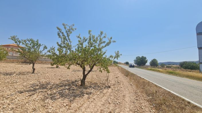Image No.5-Terre à vendre à Jumilla