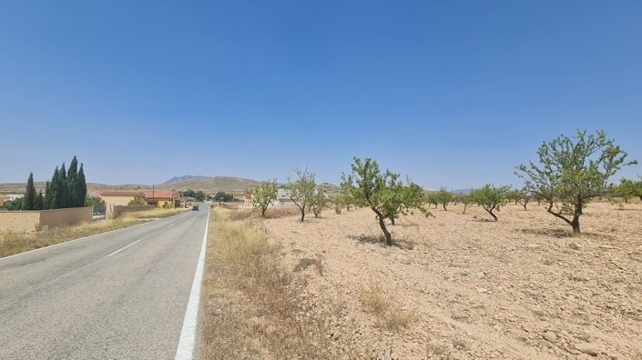 Image No.7-Terre à vendre à Jumilla