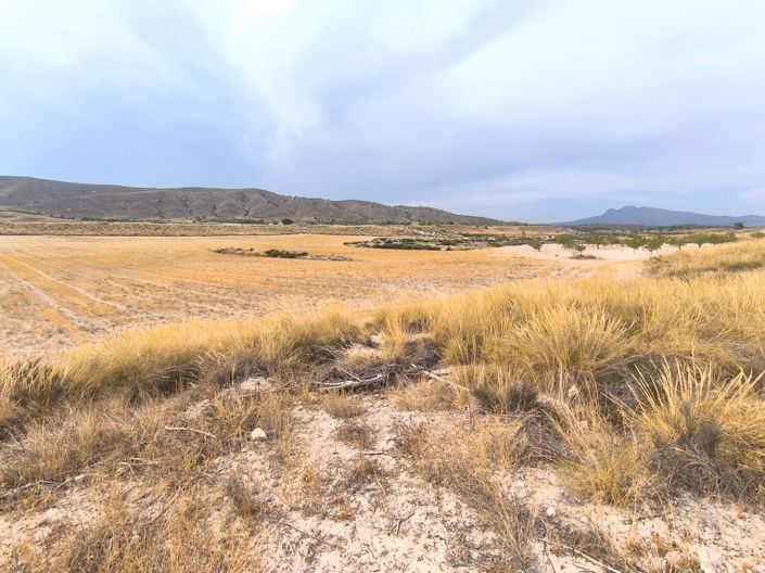 Image No.20-6 Bed Country House for sale